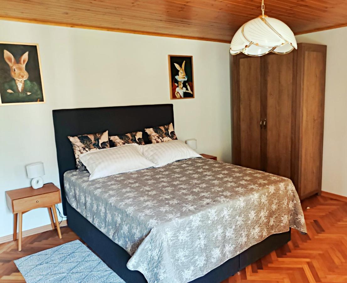 Apartment Pri Zajcu *