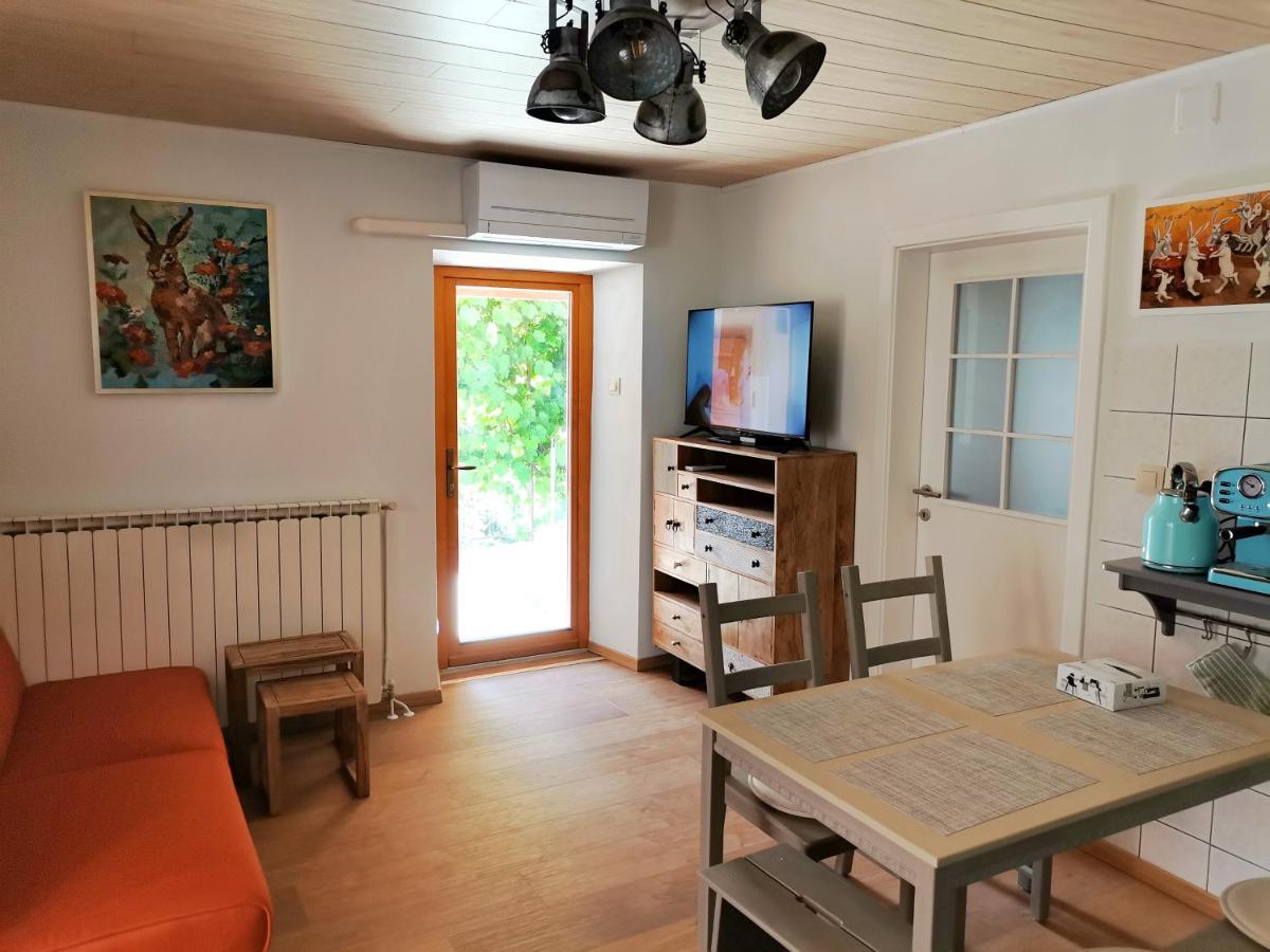Apartment Pri Zajcu *