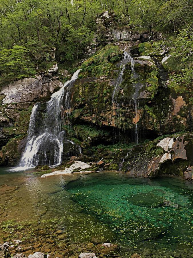 Pri Zajcu * Bovec