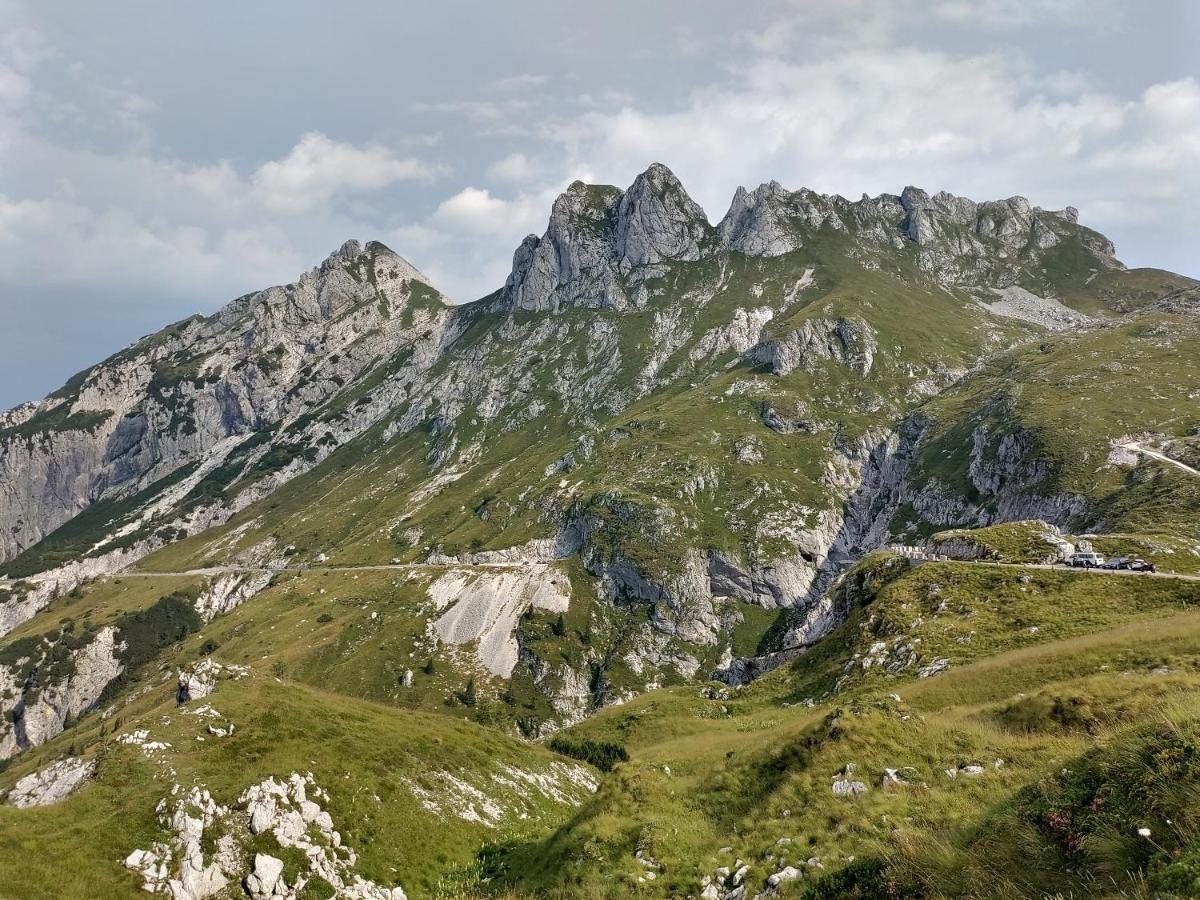 Pri Zajcu Bovec